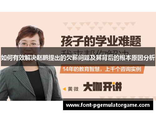 如何有效解决赵鹏提出的欠薪问题及其背后的根本原因分析