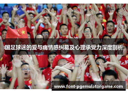 国足球迷的爱与痛情感纠葛及心理承受力深度剖析