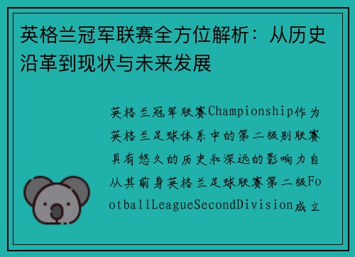 英格兰冠军联赛全方位解析：从历史沿革到现状与未来发展