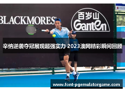 辛纳逆袭夺冠展现超强实力 2023澳网精彩瞬间回顾