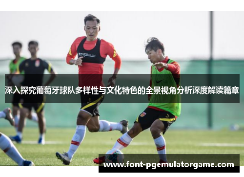深入探究葡萄牙球队多样性与文化特色的全景视角分析深度解读篇章